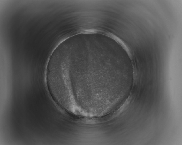 X0000102301194200808221414