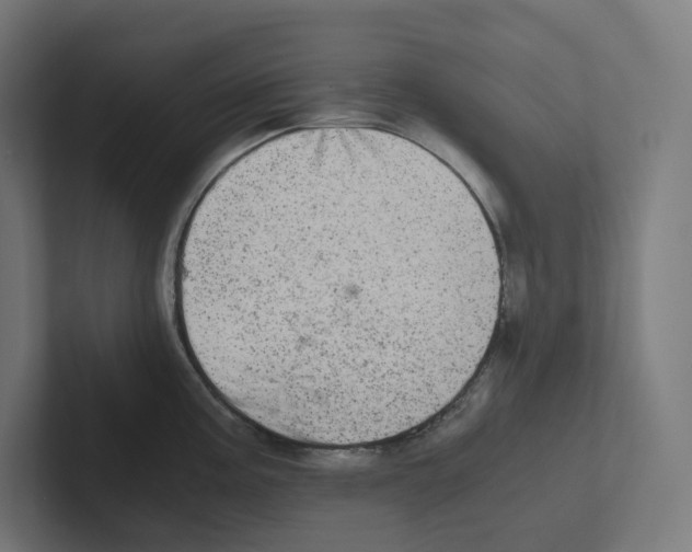 X0000102301195200808221414