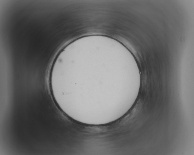 X0000102301197200808221414