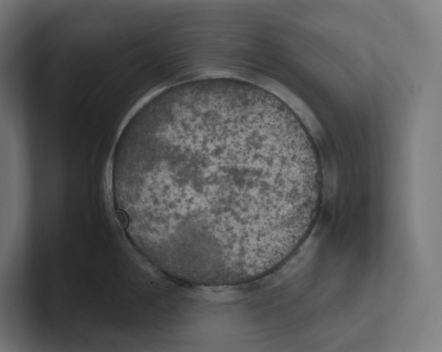 X0000102301198200808221414
