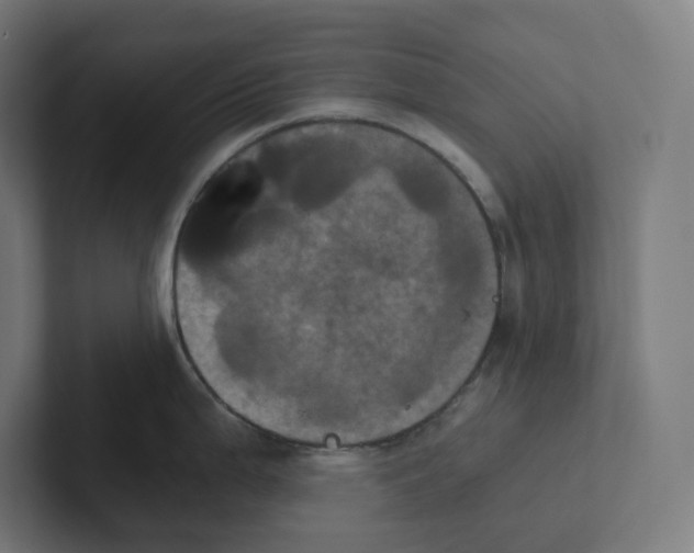 X0000102301199200808221414