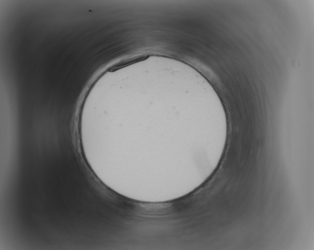 X0000102301200200808221414