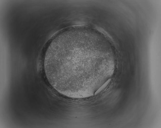 X0000102301208200808221414