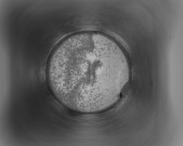 X0000102301212200808221414