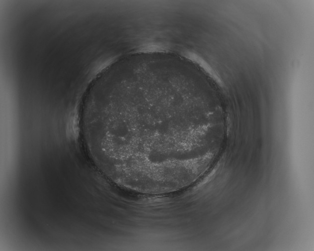 X0000102301213200808221414