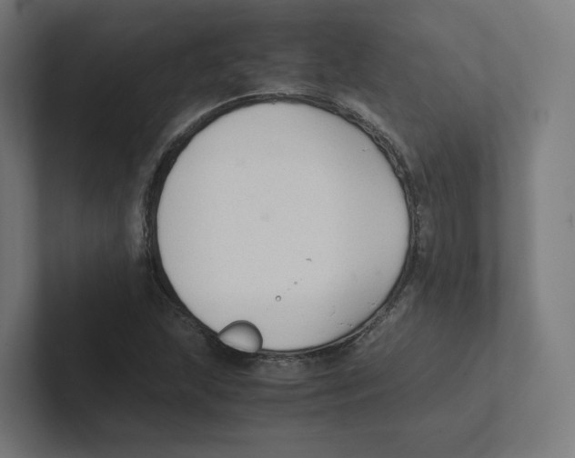 X0000102301215200808221414