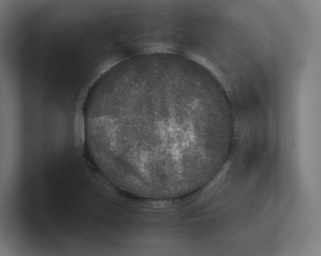 X0000102301219200808221414