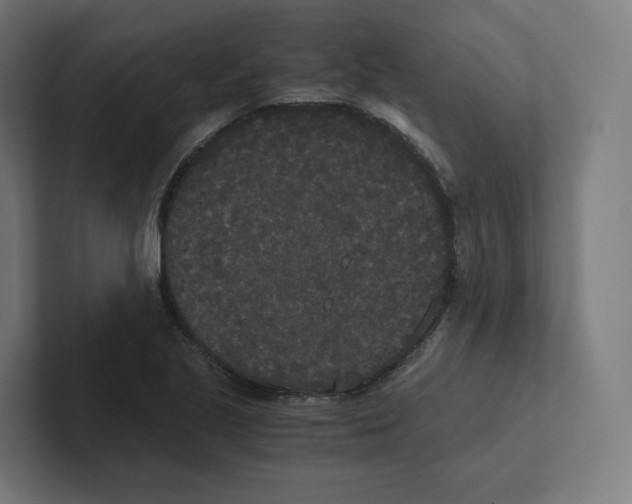 X0000102301221200808221414