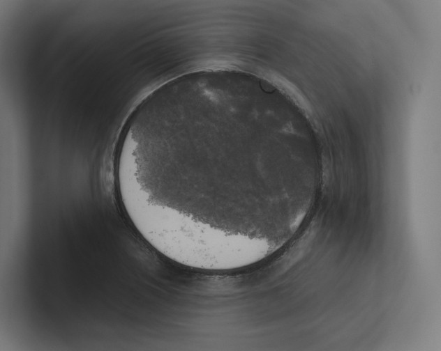 X0000102301226200808221414