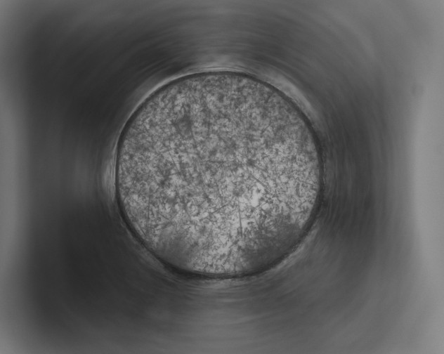 X0000102301228200808221414