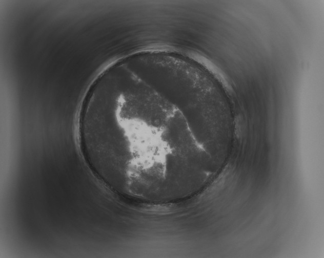 X0000102301229200808221414