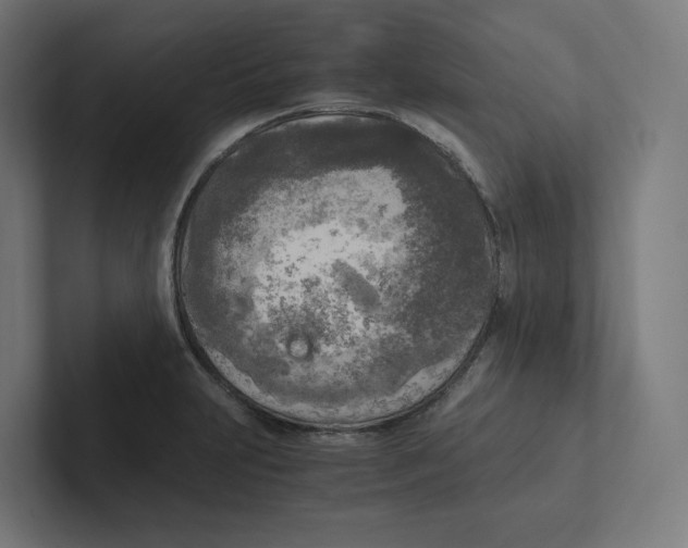 X0000102301231200808221414