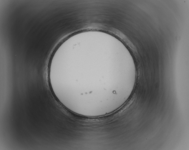 X0000102301232200808221414