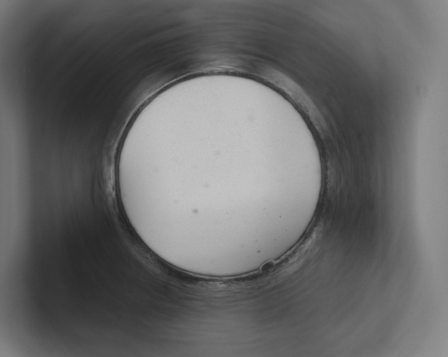 X0000102301234200808221414