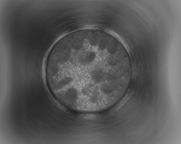 X0000102301235200808221414