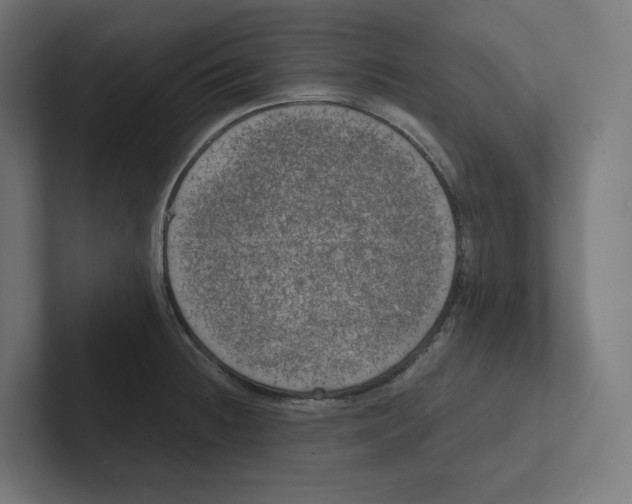 X0000102301236200808221414