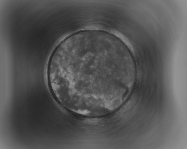 X0000102301237200808221414
