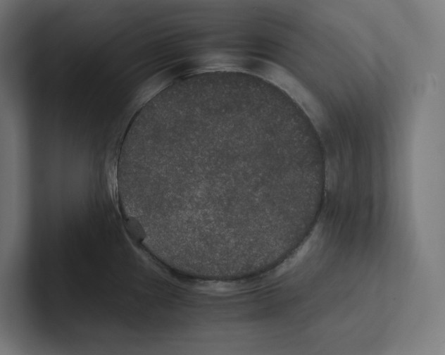 X0000102301241200808221414