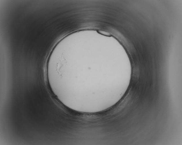 X0000102301242200808221414