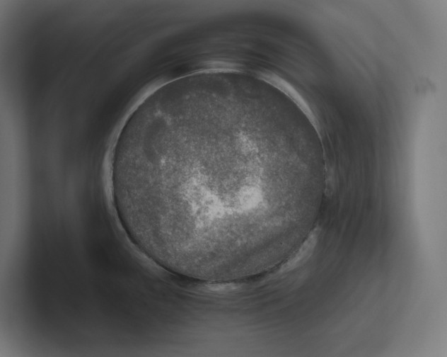 X0000102301243200808221414