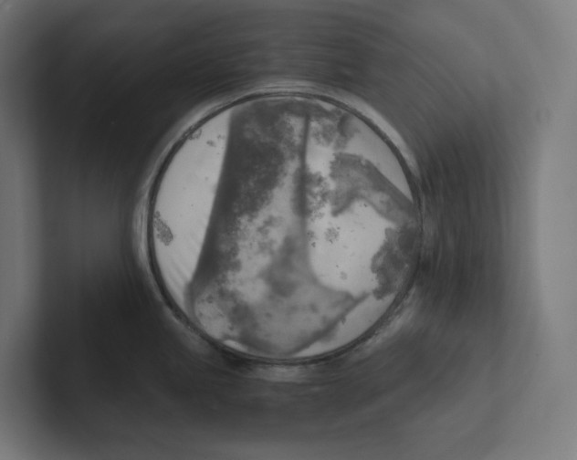X0000102301245200808221414