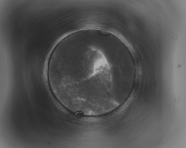 X0000102301246200808221414
