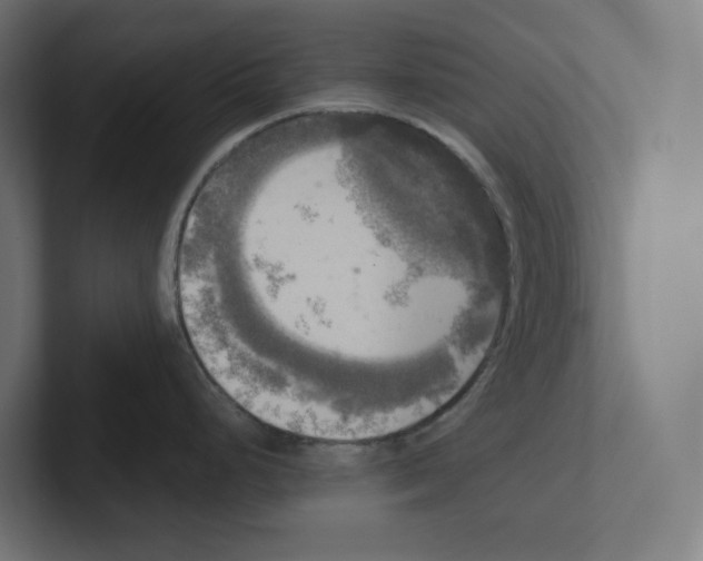 X0000102301248200808221414