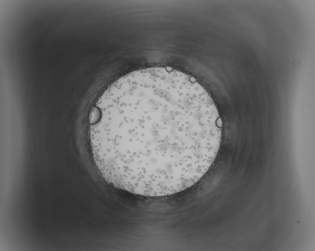 X0000102301249200808221414