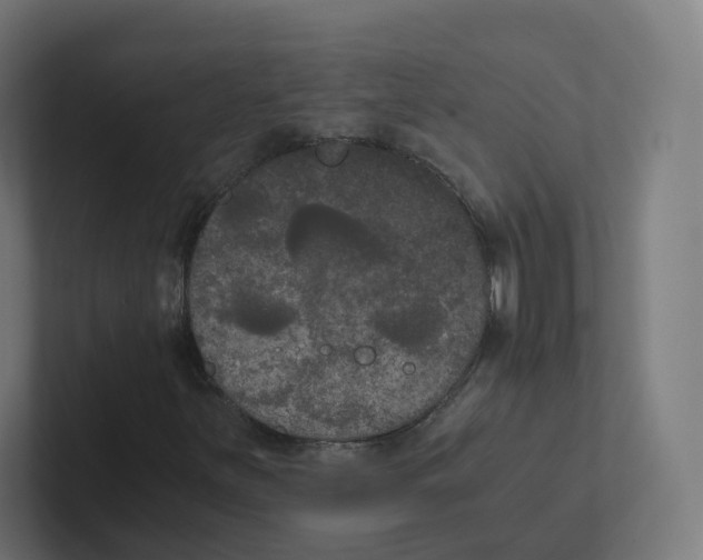 X0000102301251200808221414