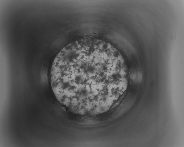 X0000102301252200808221414