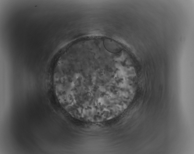 X0000102301255200808221414