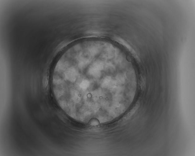 X0000102301259200808221413