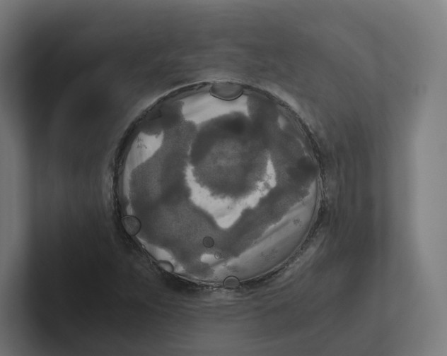 X0000102301263200808221413