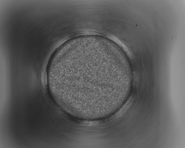 X0000102301269200808221413