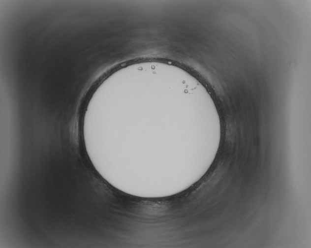 X0000102301270200808221413