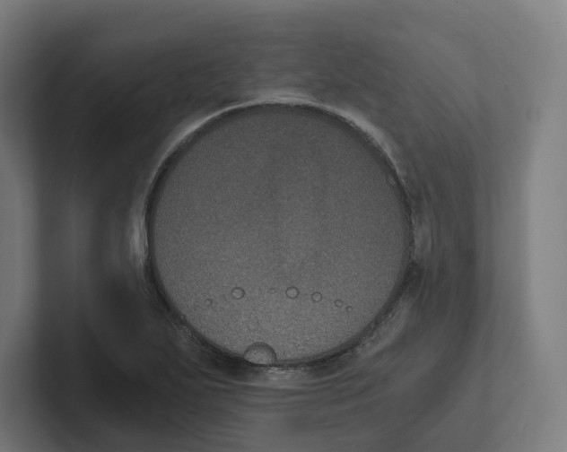 X0000102301271200808221413