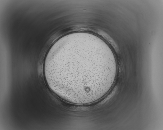 X0000102301273200808221413