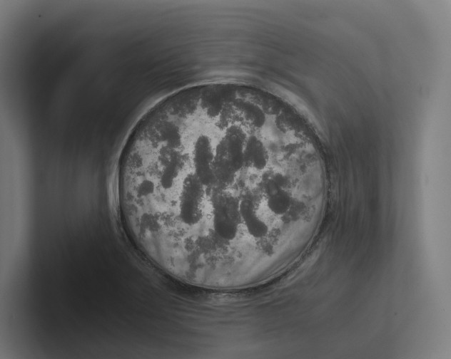 X0000102301275200808221413