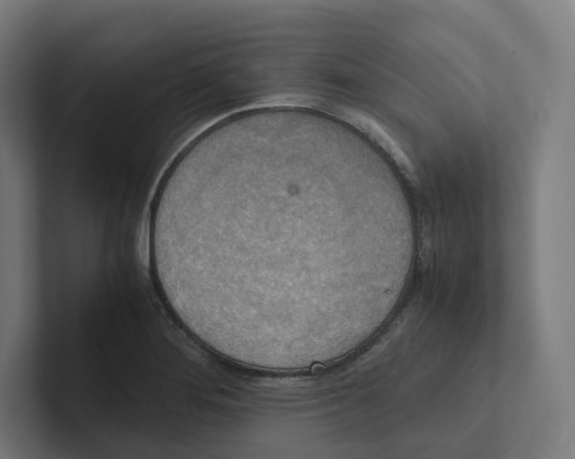 X0000102301276200808221413