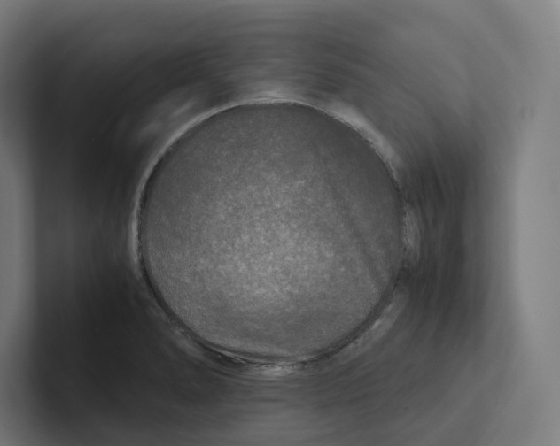 X0000102301278200808221413