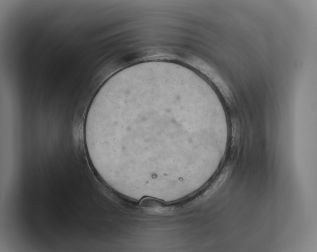 X0000102301281200808221413