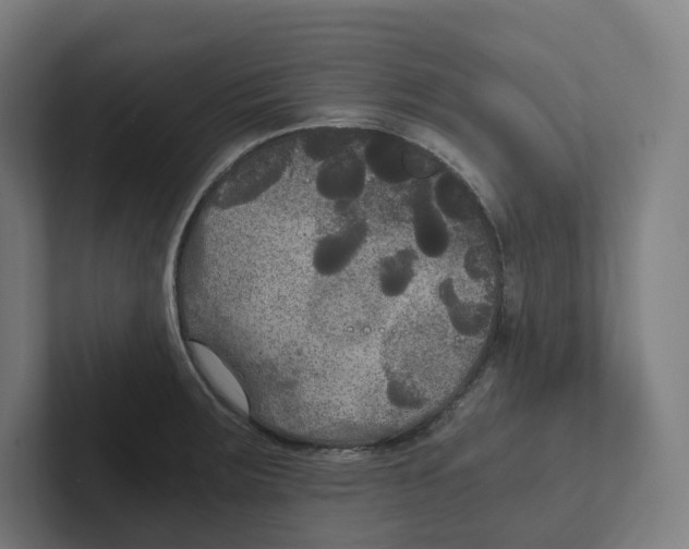 X0000102301283200808221413
