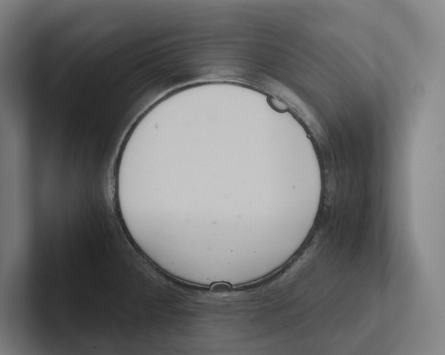 X0000102301284200808221413