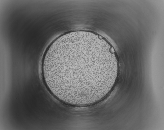 X0000102301285200808221413