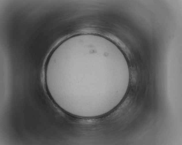X0000102301286200808221413