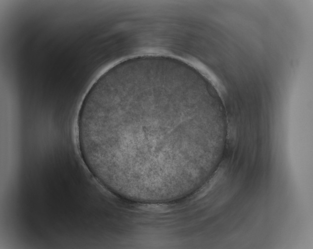 X0000102301287200808221413