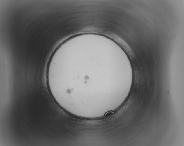 X0000102301288200808221413