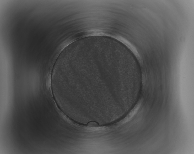 X0000102301289200808221413