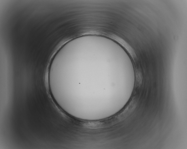 X0000102301290200808221413