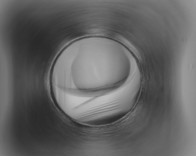 X0000102301291200808221413